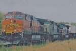 BNSF 4021 East